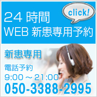 24����WEB�\��